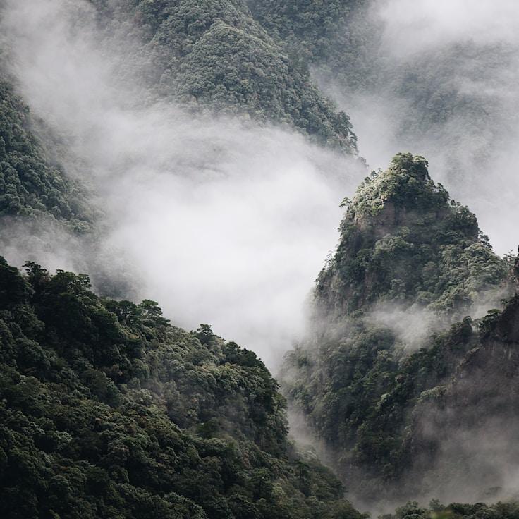 Alpine wilderness landscape